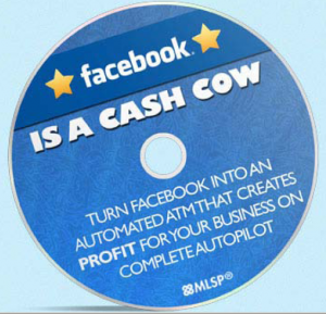 Make FaceBook Profitable